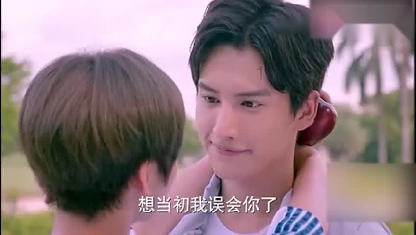 拯救精灵的土地8